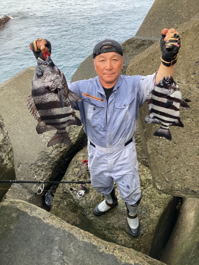 ガマ石　イシダイ　底物　クエ　イシガキダイ 9月23日 イシダイ・イシガキダイ【高知】【底物】【石鯛】｜高知
